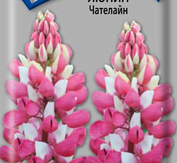 Люпин Чателайн
