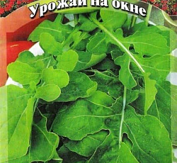 Руккола Покер (индау)