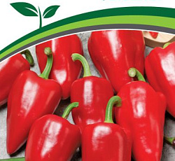 Перец сладкий Фьюджи