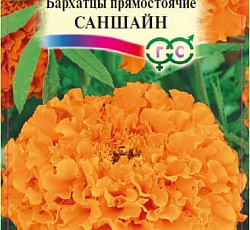 Бархатцы прямостоячие Саншайн