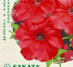 Петуния крупноцветковая Игл красная F1