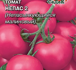 Томат Непас 2 F1 (непасынкующийся малиновый)