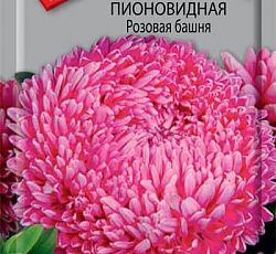 Астра Пионовидная Розовая башня