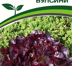 Салат дуболистный Вулсини (листовой)