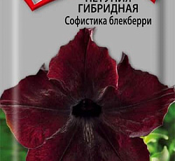 Петуния гибридная Софистика Блекберри