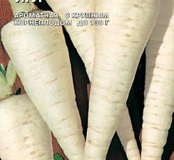 Петрушка корневая Игл