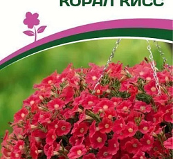 Петуния "Зацветет" Middl Корал Кисс F1 полуампельная