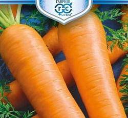 Морковь Русский гигант