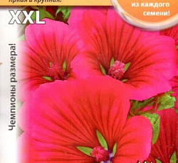 Малопа Пурпурная Русский размер