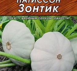 Патиссон Зонтик