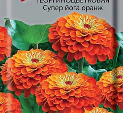 Цинния георгиноцветковая Супер йога оранж