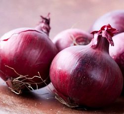 Лук репчатый Ретро