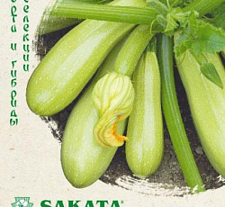 Кабачок Азов F1