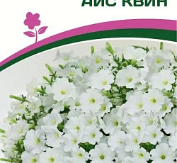 Петуния "Зацветет" Long Айс Квин F1 многоцветковая ампельная