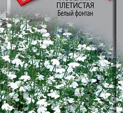 Лобелия Плетистая Белый фонтан