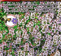 Тимьян (чабрец) Медовый аромат