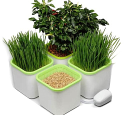 Гидропонный проращиватель "Здоровья Клад" (4х-модульный)