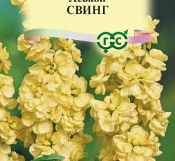 Левкой Свинг