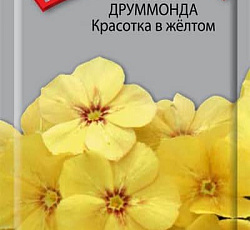 Флокс друммонда Красотка в желтом