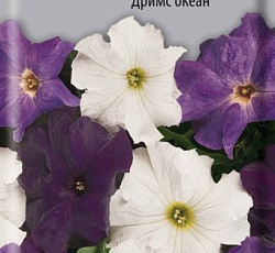 Петуния грандифлора Дримс океан