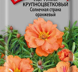 Портулак Крупноцветковый Солнечная страна оранжевый