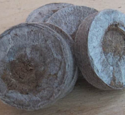 Торфяные таблетки Jiffy-7 (33 мм-10 шт)