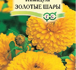 Календула Золотые шары (низкорослая/махровая)