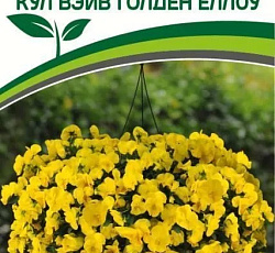 Виола ампельная Кул Вэйв Голден Еллоу F1