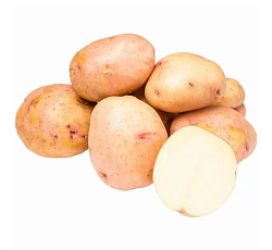 Картофель Синеглазка (СУПЕР ЭЛИТА)