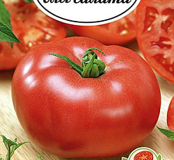 Томат Карелия