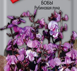 Гиацинтовые бобы Рубиновая луна