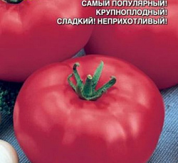 Томат Бакинские 622