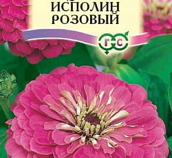 Цинния Исполин Розовый