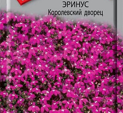 Лобелия Эринус Королевский дворец