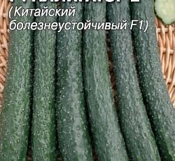 Огурец Аллигатор 2 F1