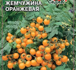 Томат Жемчужина оранжевая