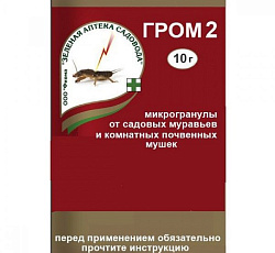Гром-2М, 10 г