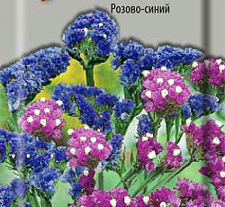 Статица Талисман Розово-синий