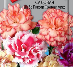 Гвоздика садовая Шабо Пикоти фэнтези микс