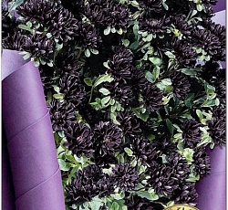 Астра китайская Трубадур Парпл Блэк