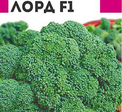 Капуста брокколи Лорд F1