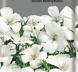 Агростемма Белая жемчужина