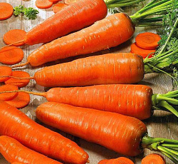 Морковь Флакке (Флакер)