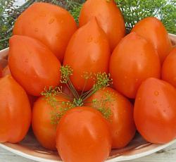 Томат Пламя F1