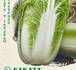 Капуста пекинская Кисеки F1