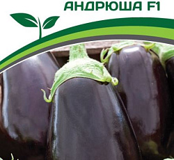 Баклажан Андрюша F1