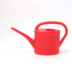 Лейка 2 л с насадкой