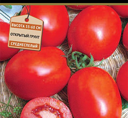 Томат Кубань