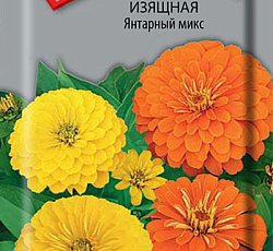 Цинния изящная Янтарный микс