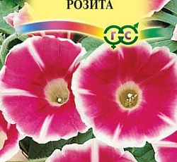 Ипомея Розита